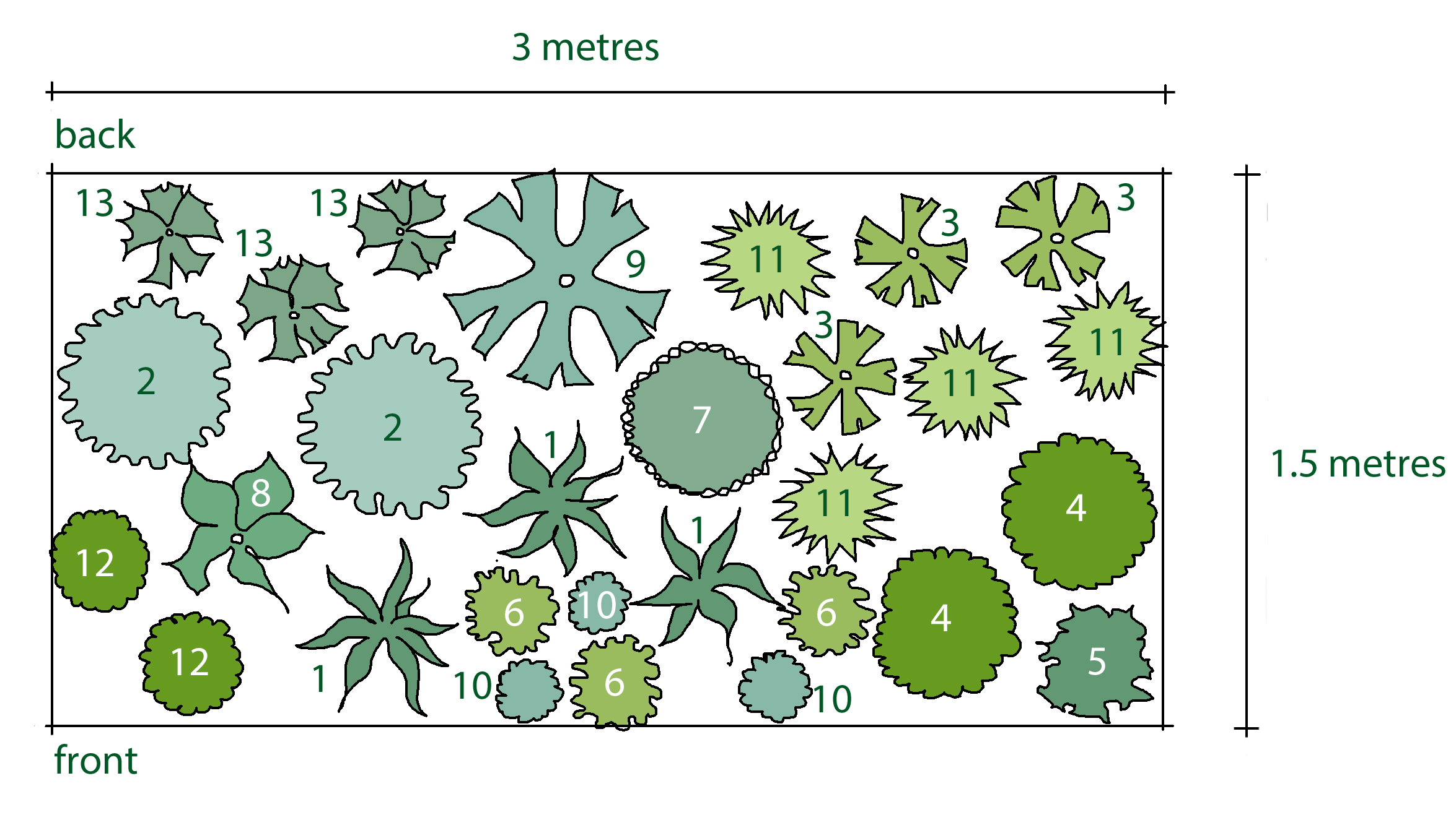 Rosy's Planting Plan for a Drought Resistant Border